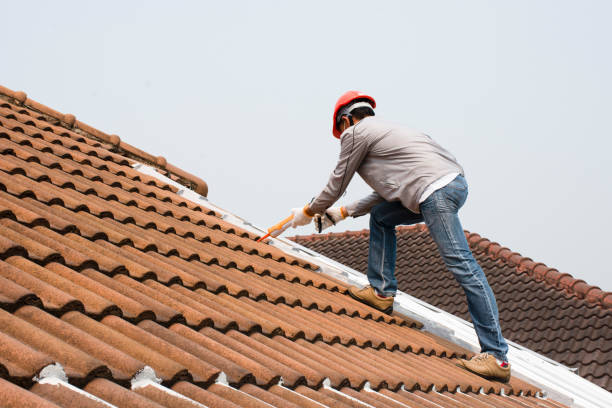 Best Roof Maintenance and Cleaning  in Pahoa, HI