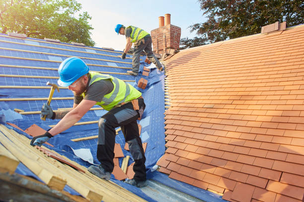 Best Flat Roofing  in Pahoa, HI
